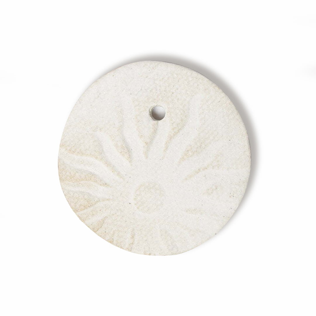 Oversized Sand Dollar, Wall Decor